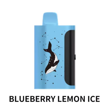 PICCO STAR 40000 - Blueberry Lemon Ice